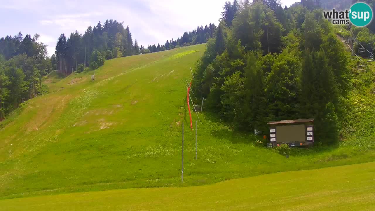 Podkoren / Kranjska Gora – Arrivee slalom géant