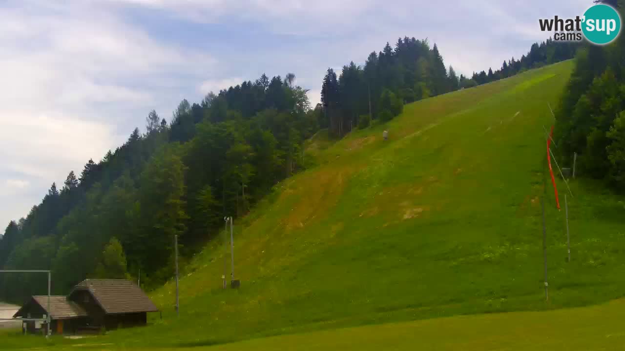 Podkoren slalom géant | Start – Kranjska Gora