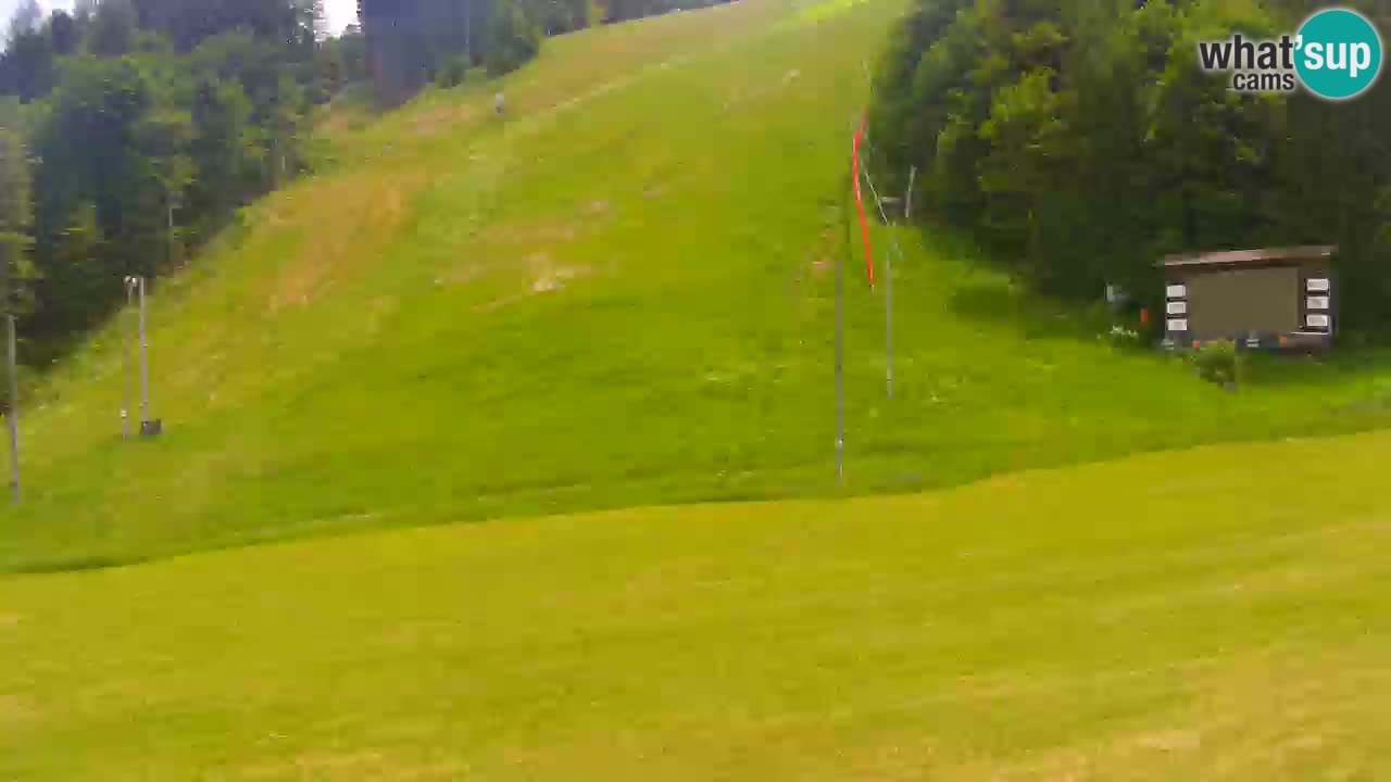 Podkoren / Kranjska Gora –  Meta Slalom gigante