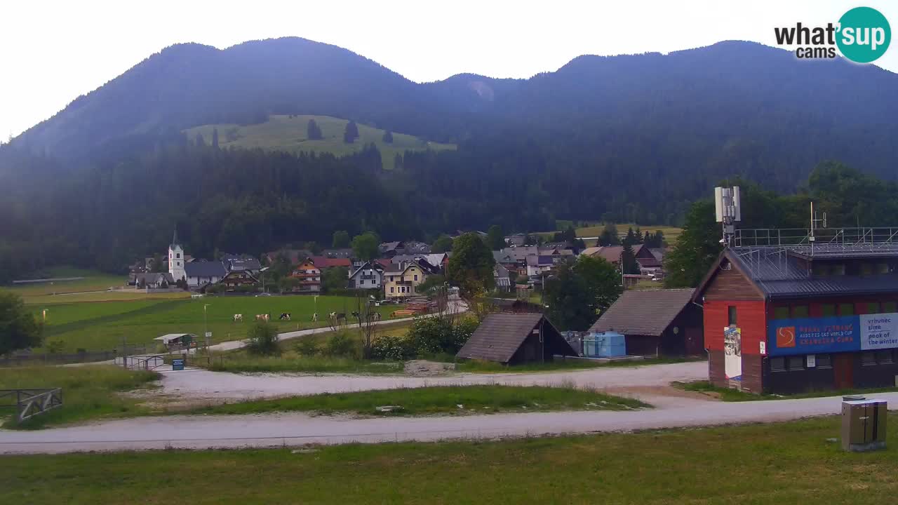 Podkoren Webcam Kranjska Gora | Finish of Giant slalom