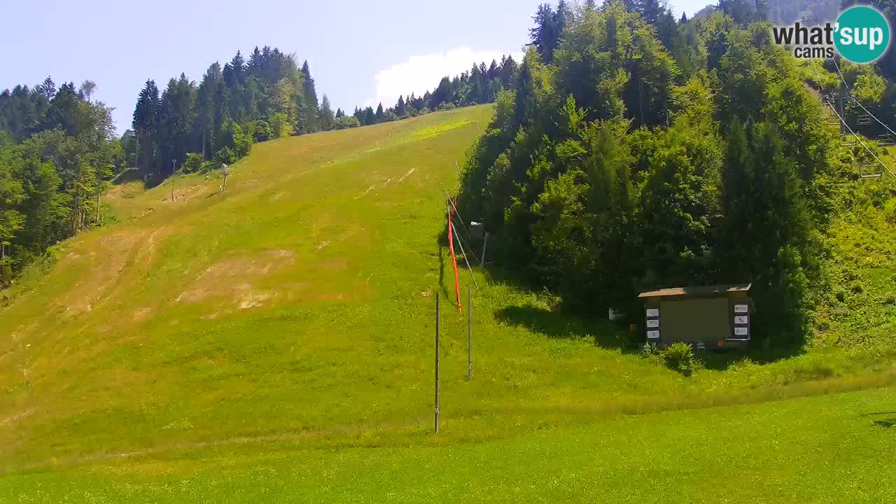 Podkoren / Kranjska Gora – Cilj veleslaloma svjetskog kupa