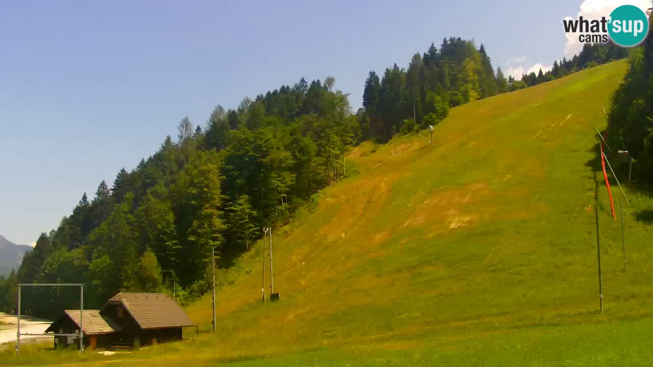 Podkoren / Kranjska Gora – Ziel Riesenslalom