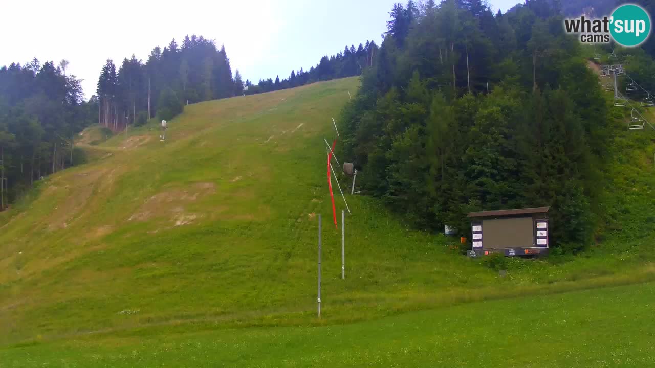 Podkoren Webcam Kranjska Gora | Finish of Giant slalom