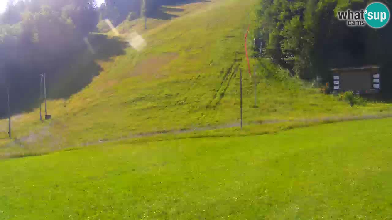 Podkoren / Kranjska Gora –  Meta Slalom gigante