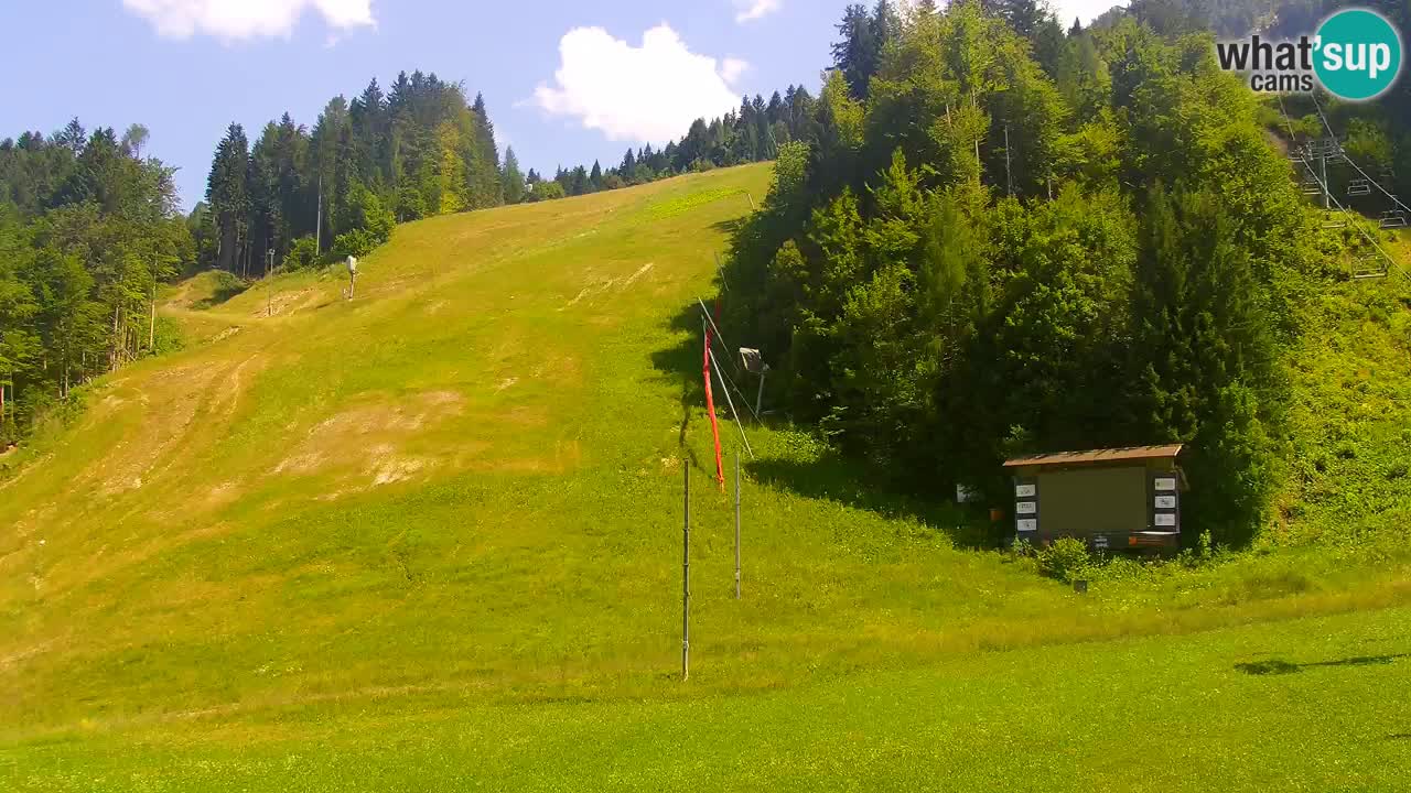 Podkoren slalom géant | Start – Kranjska Gora