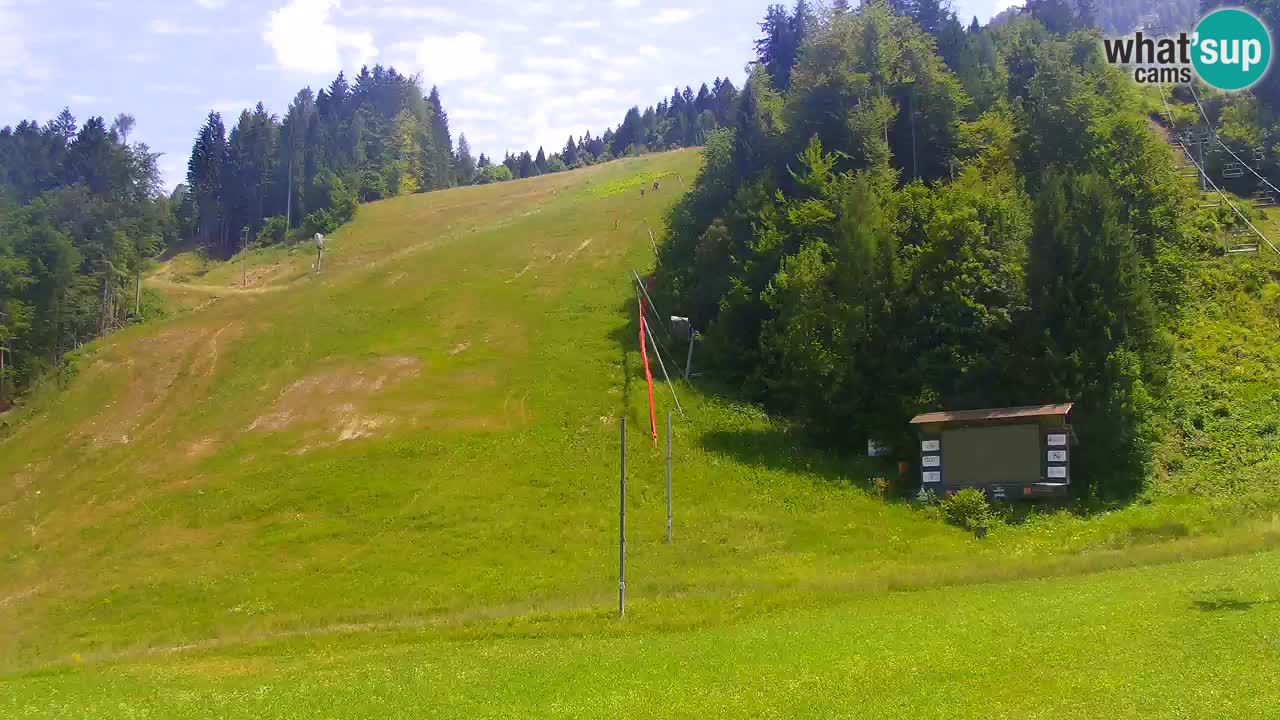 Podkoren Webcam Kranjska Gora | Finish of Giant slalom