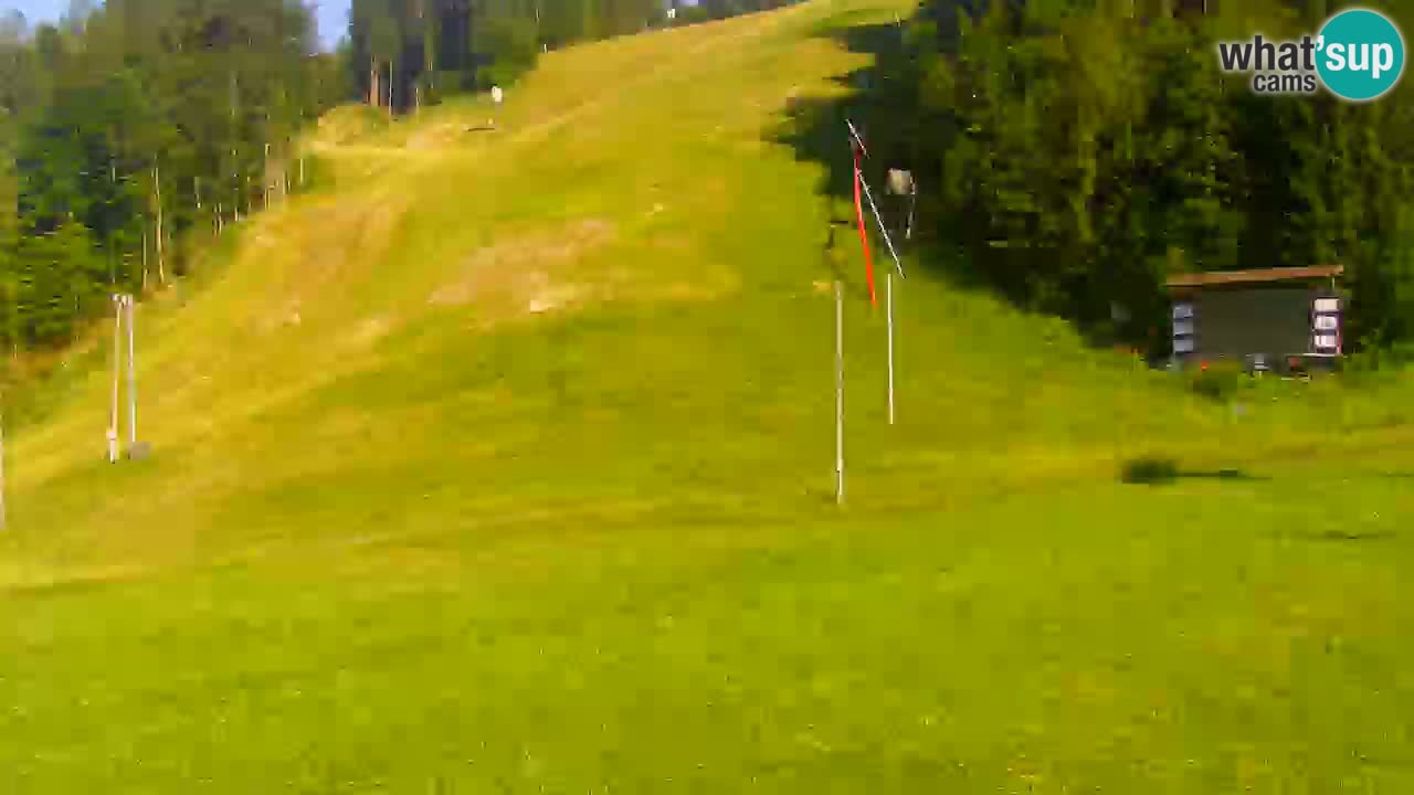 Podkoren Webcam Kranjska Gora | Finish of Giant slalom