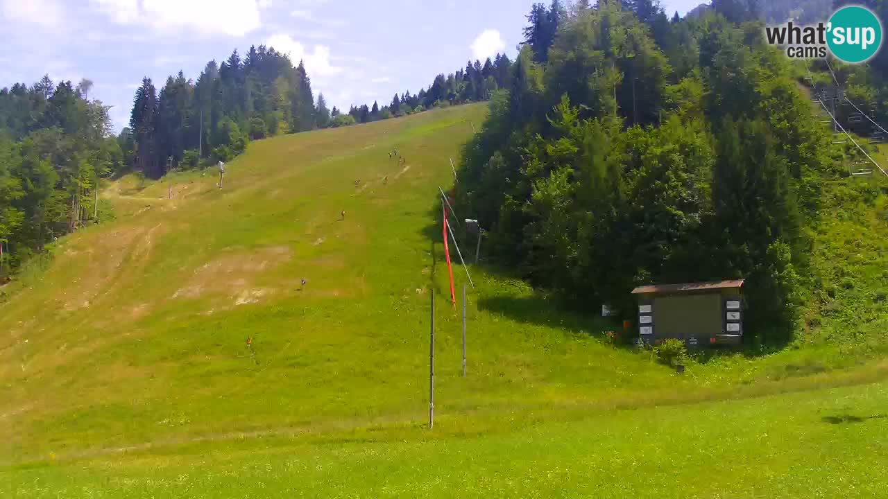 Podkoren / Kranjska Gora – Arrivee slalom géant