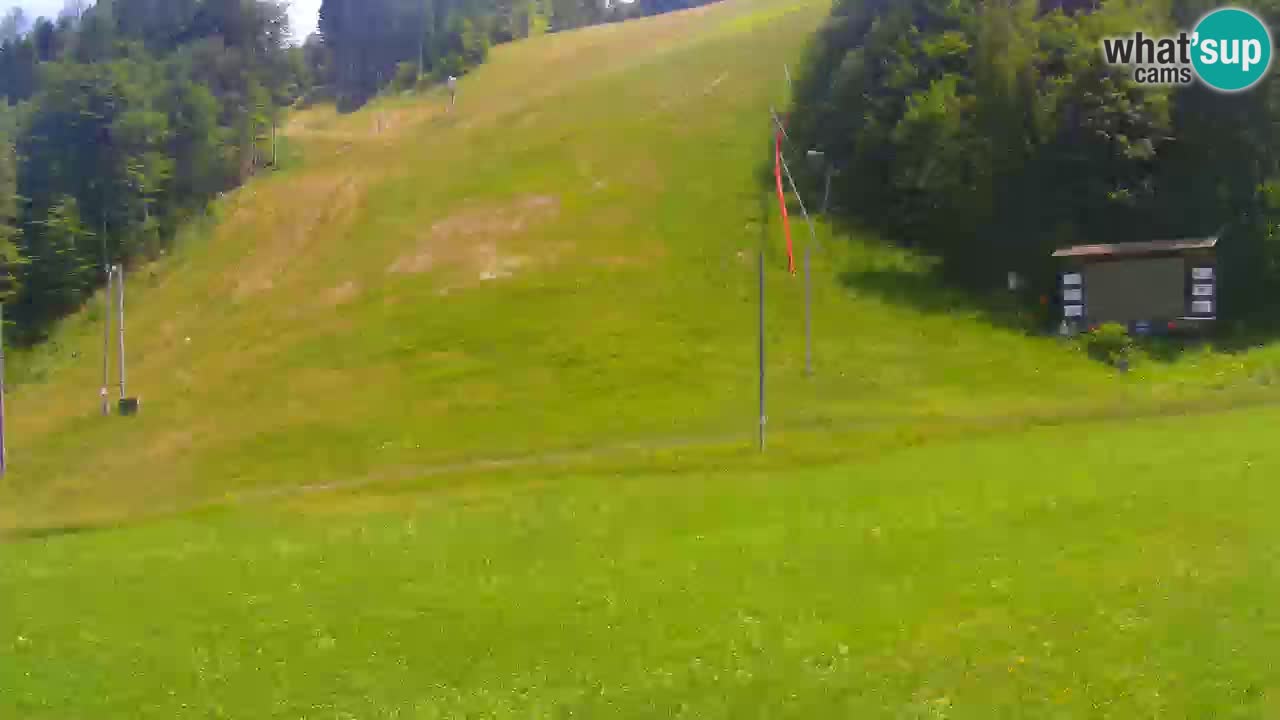 Podkoren / Kranjska Gora – Arrivee slalom géant