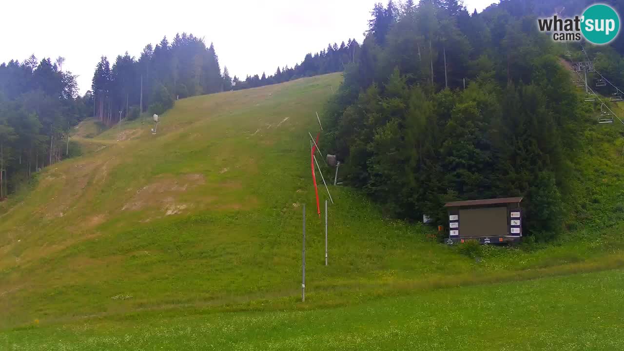 Podkoren Webcam Kranjska Gora | Finish of Giant slalom