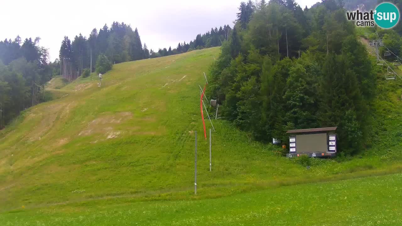Podkoren / Kranjska Gora – Arrivee slalom géant