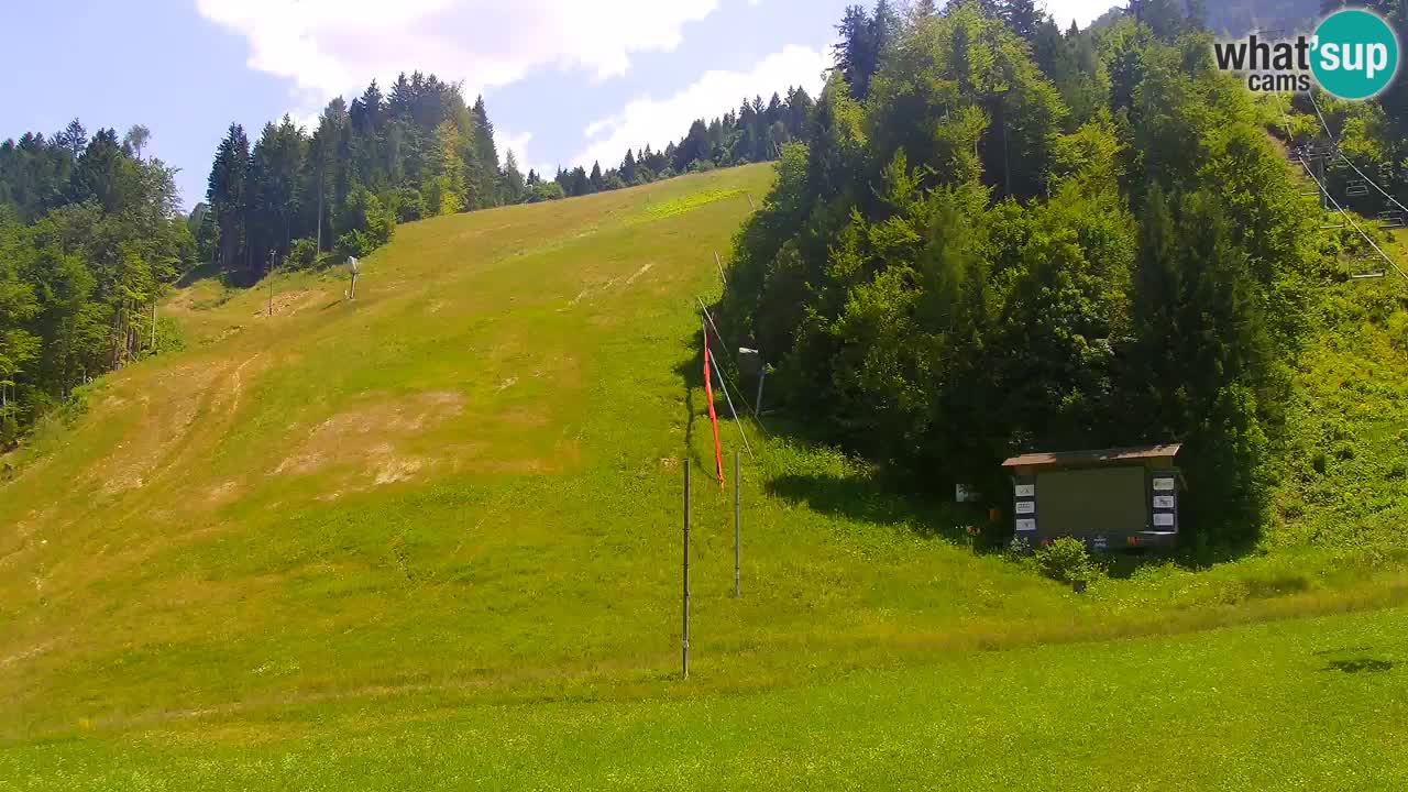 Podkoren / Kranjska Gora – Arrivo slalom gigante