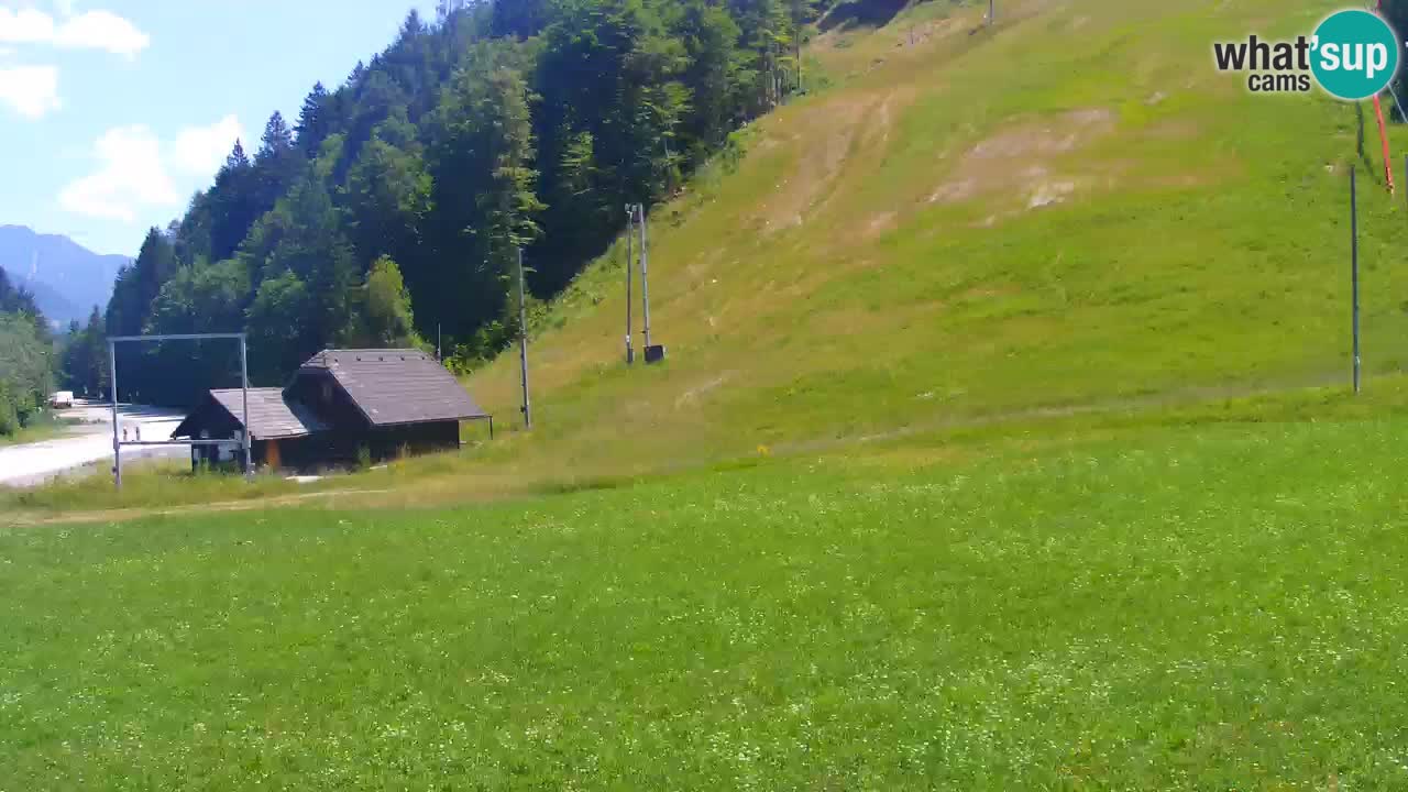 Podkoren / Kranjska Gora – Cilj veleslaloma svjetskog kupa