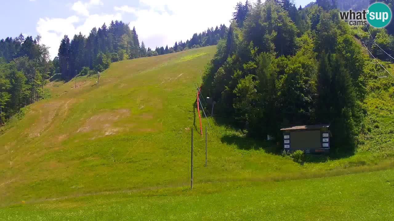 Podkoren / Kranjska Gora – Arrivee slalom géant