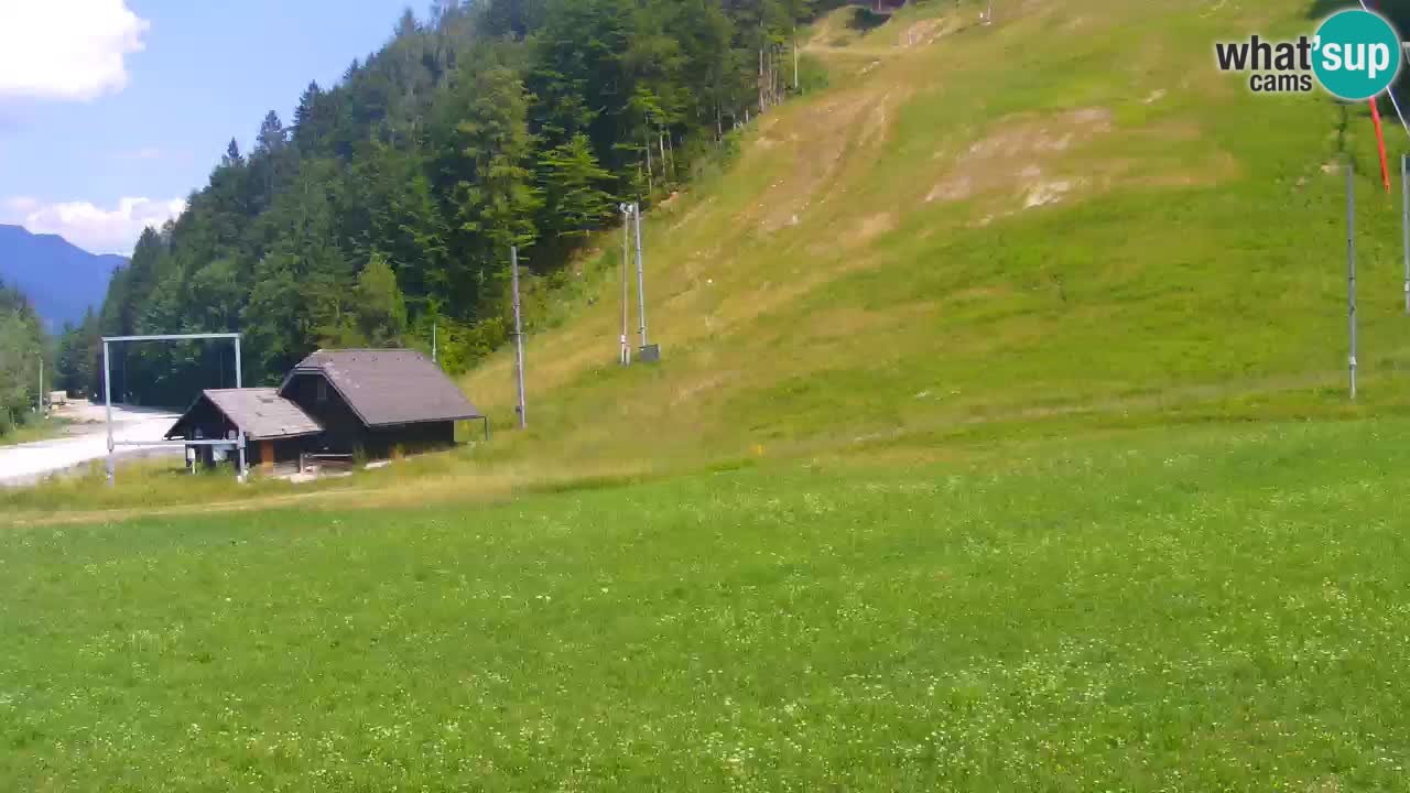 Podkoren / Kranjska Gora – Arrivo slalom gigante