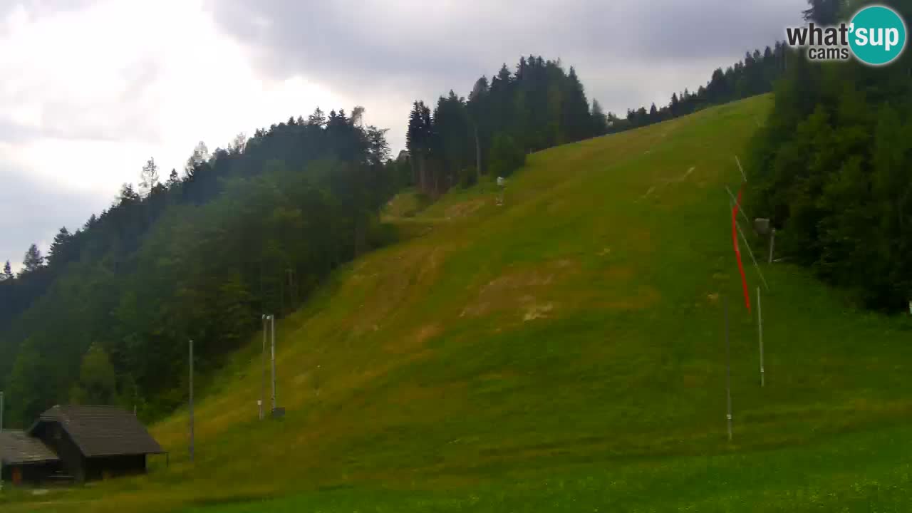 Podkoren / Kranjska Gora – Cilj veleslaloma svjetskog kupa