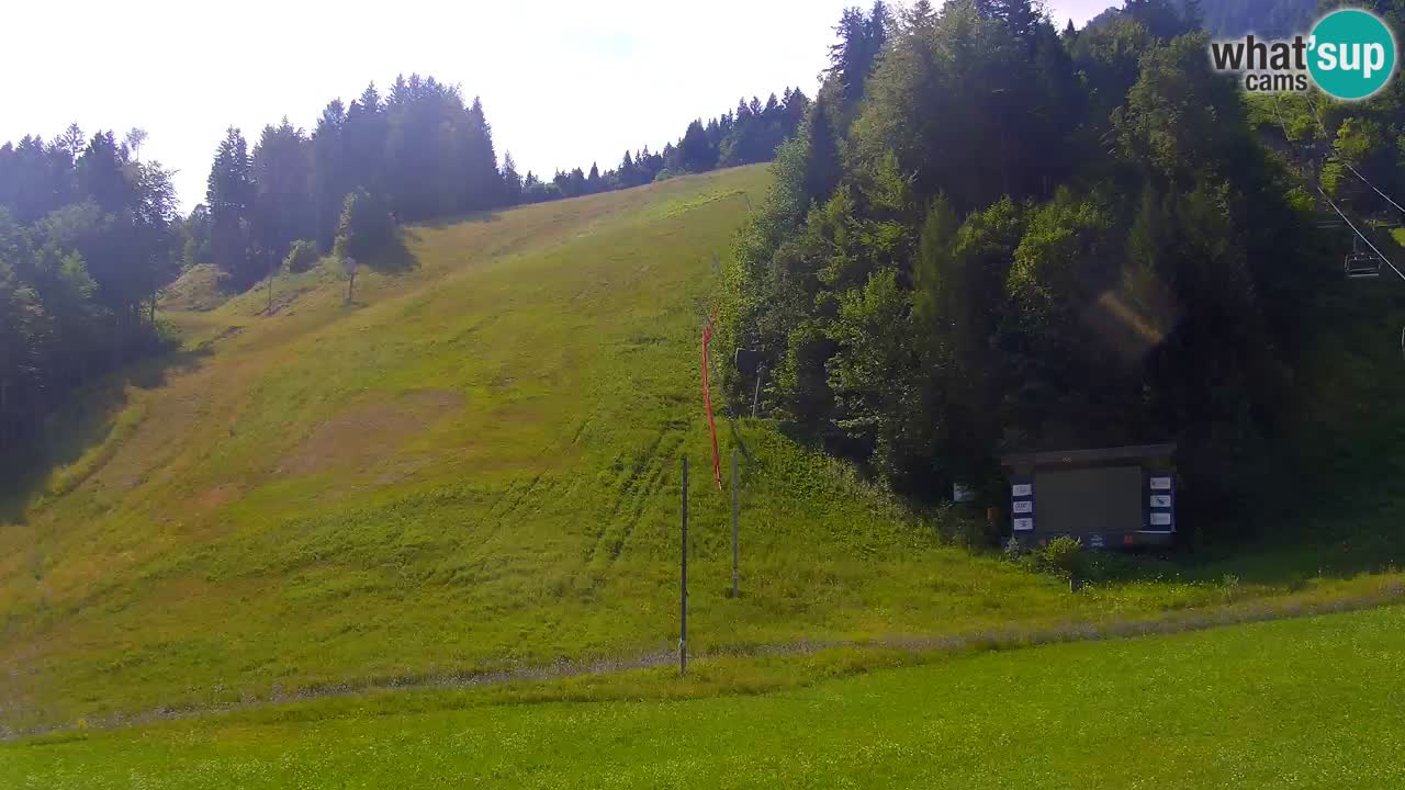 Podkoren / Kranjska Gora – Arrivo slalom gigante