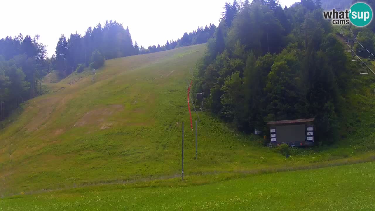 Podkoren slalom géant | Start – Kranjska Gora