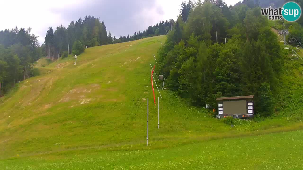 Podkoren / Kranjska Gora – Cilj veleslaloma svjetskog kupa