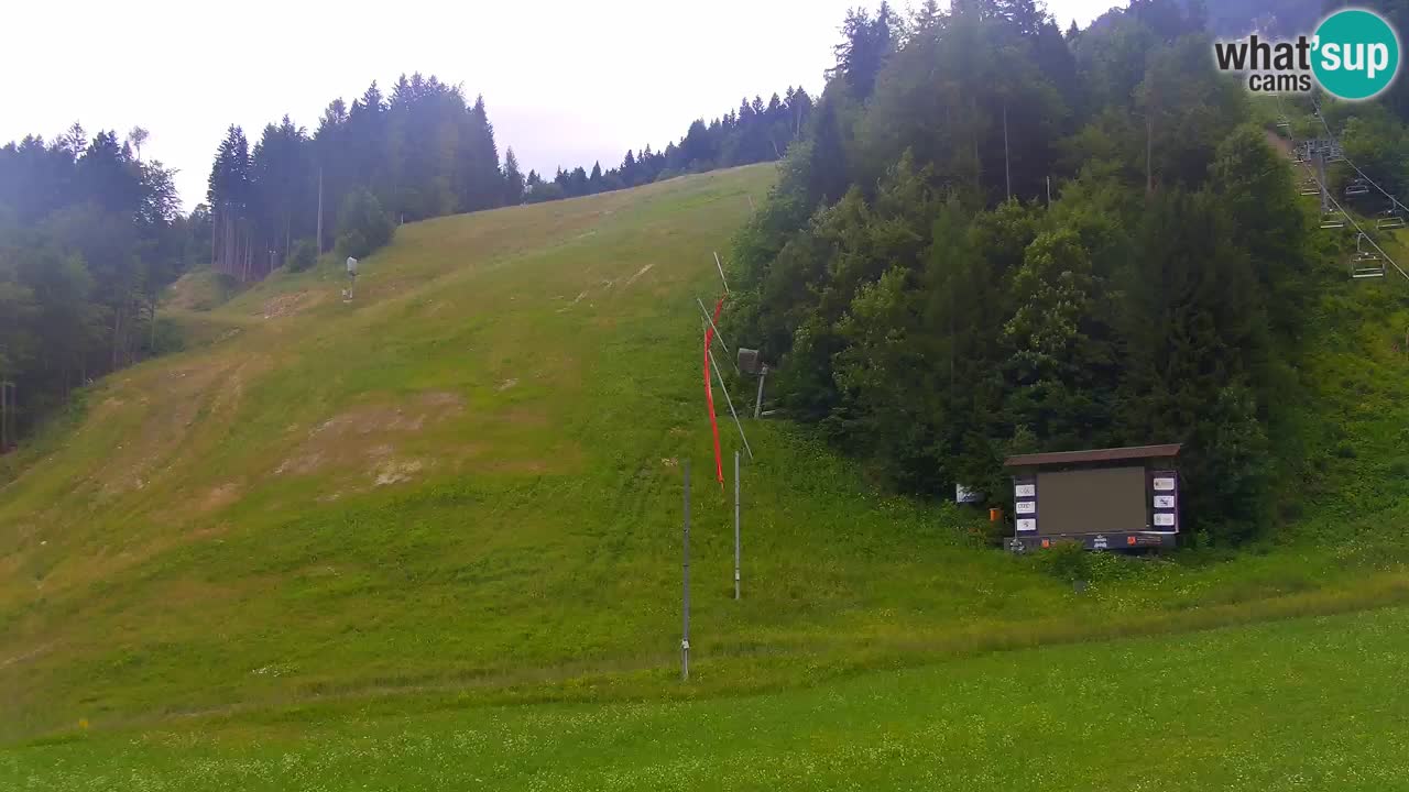 Podkoren / Kranjska Gora – Ziel Riesenslalom