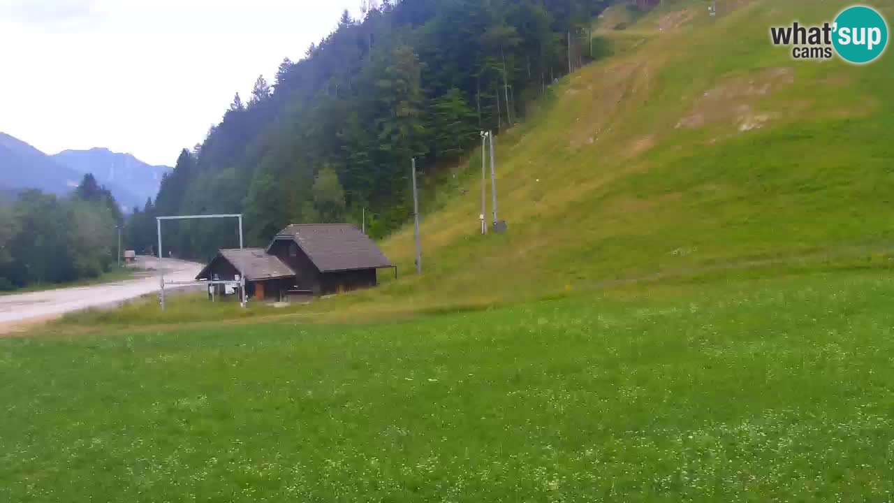 Podkoren / Kranjska Gora – Ziel Riesenslalom