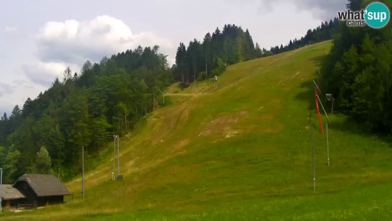 Podkoren / Kranjska Gora – Cilj veleslaloma svjetskog kupa