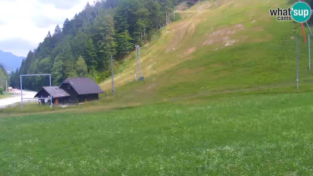 Podkoren Webcam Kranjska Gora | Finish of Giant slalom
