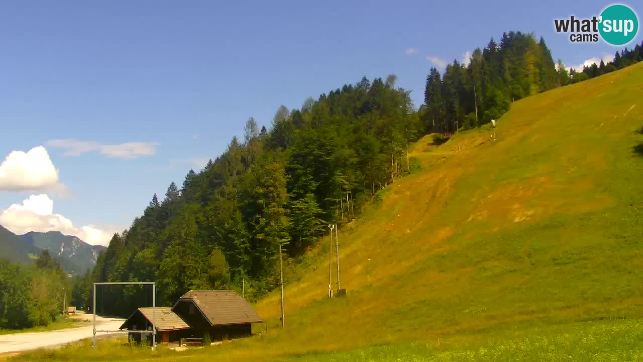 Podkoren Webcam Kranjska Gora | Finish of Giant slalom