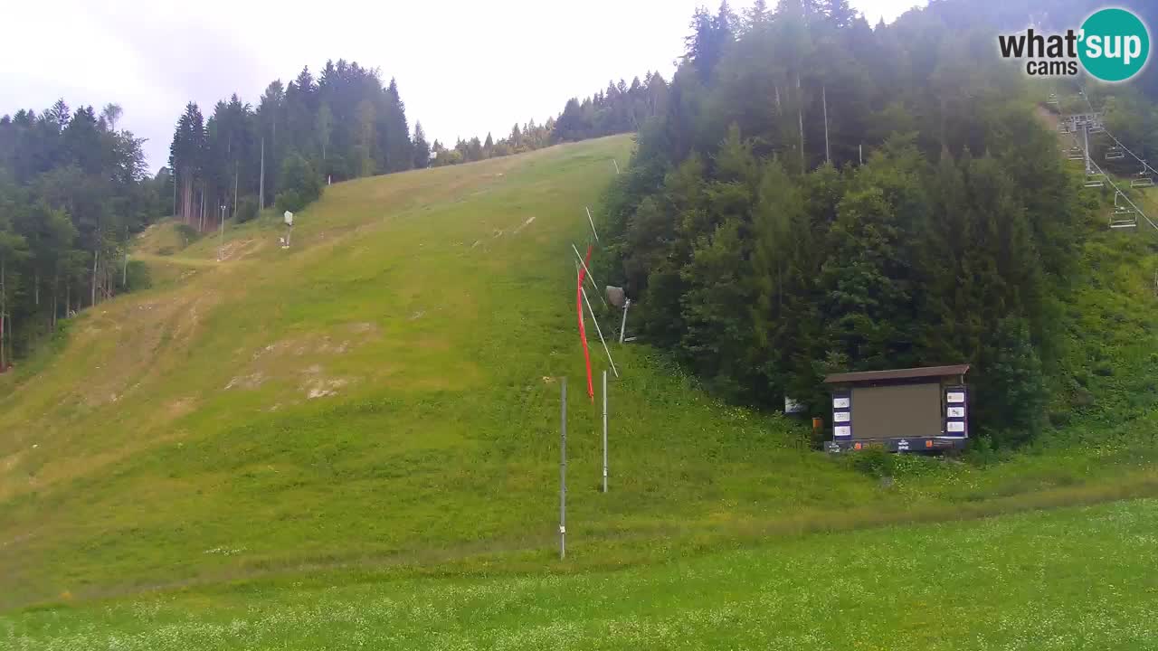 Podkoren Webcam Kranjska Gora | Finish of Giant slalom