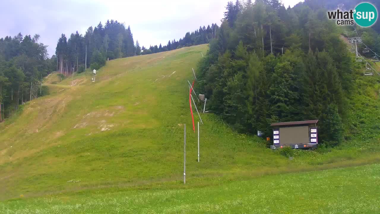 Podkoren slalom géant | Start – Kranjska Gora