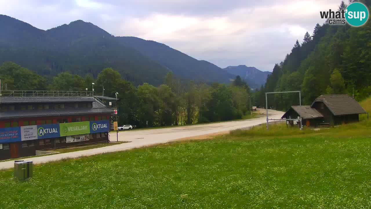Podkoren Webcam Kranjska Gora | Finish of Giant slalom