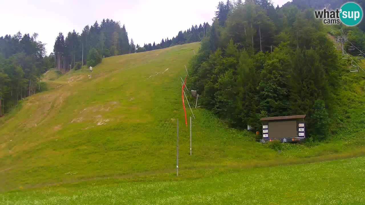 Podkoren Webcam Kranjska Gora | Finish of Giant slalom