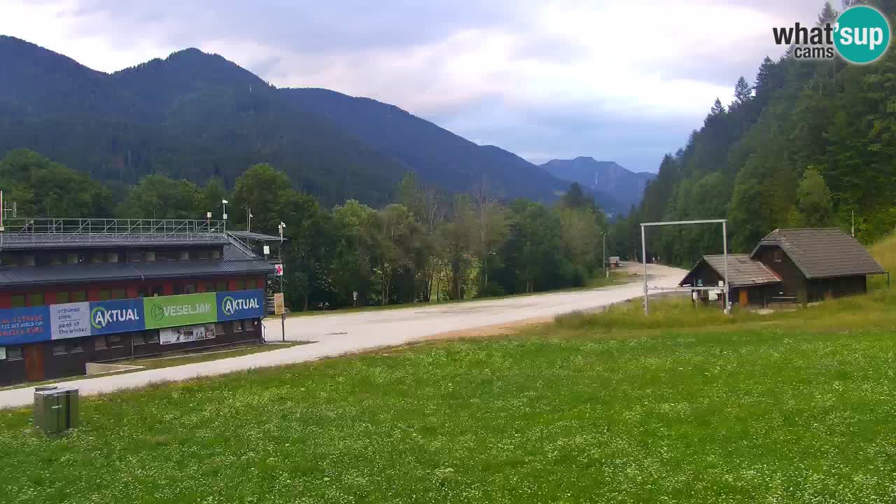 Podkoren / Kranjska Gora – Arrivo slalom gigante