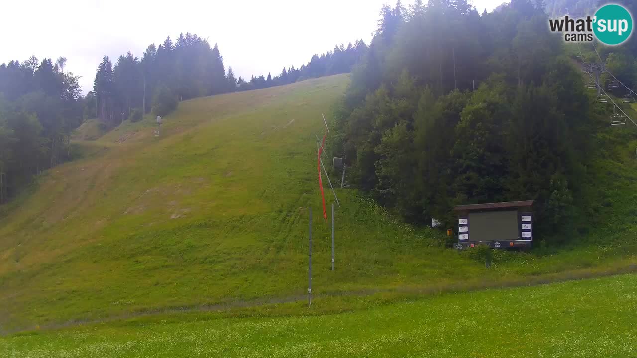 Podkoren / Kranjska Gora –  Meta Slalom gigante