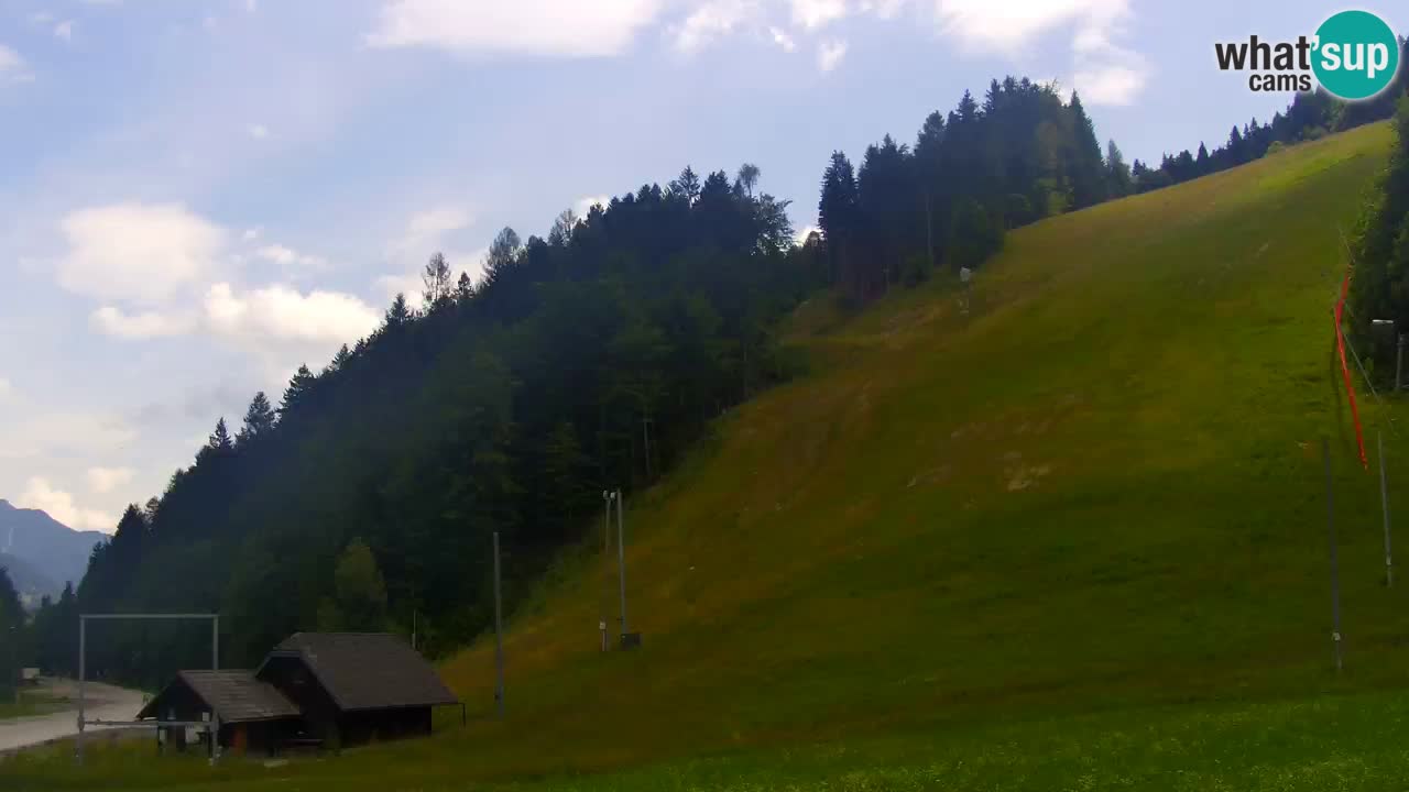 Podkoren Webcam Kranjska Gora | Finish of Giant slalom