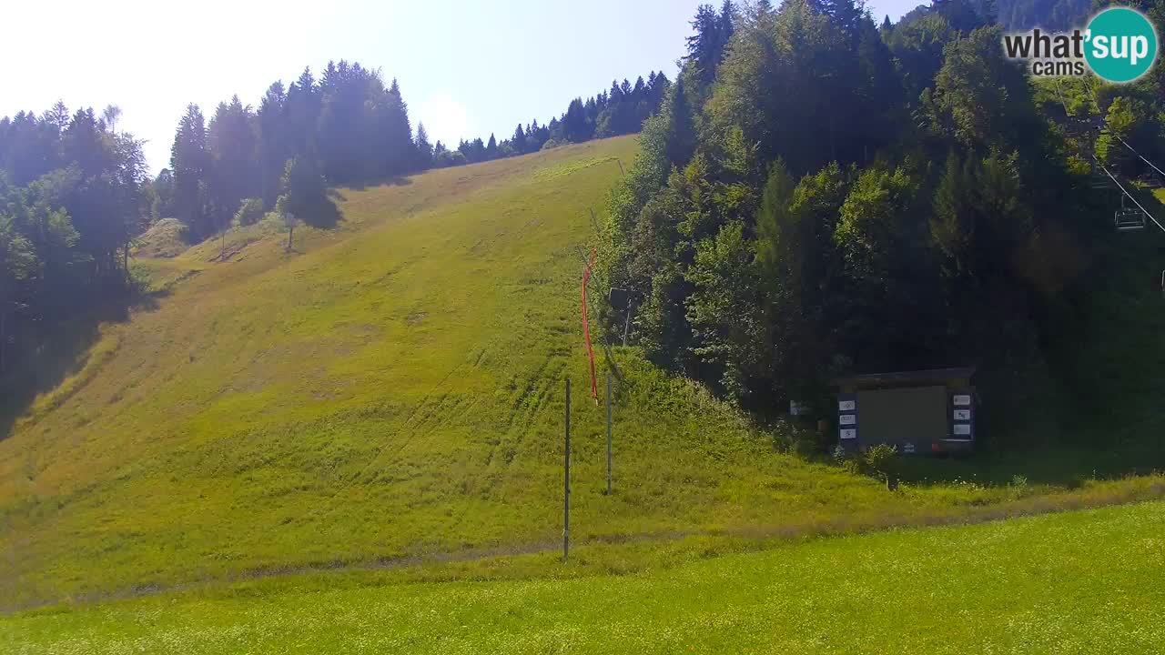 Podkoren Webcam Kranjska Gora | Finish of Giant slalom