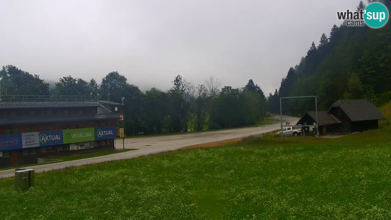 Podkoren / Kranjska Gora –  Meta Slalom gigante