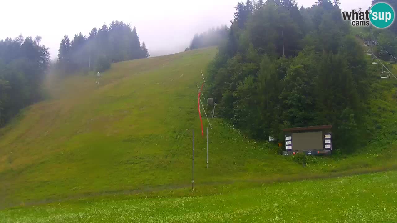 Podkoren / Kranjska Gora – Ziel Riesenslalom