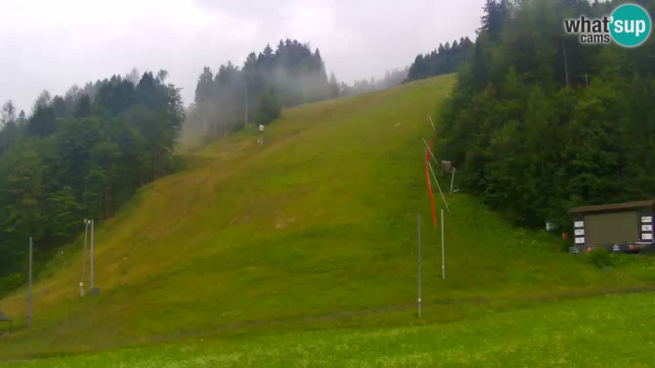 Podkoren / Kranjska Gora – Arrivo slalom gigante
