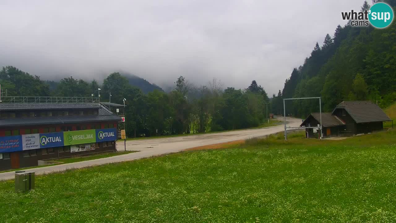 Podkoren / Kranjska Gora – Ziel Riesenslalom