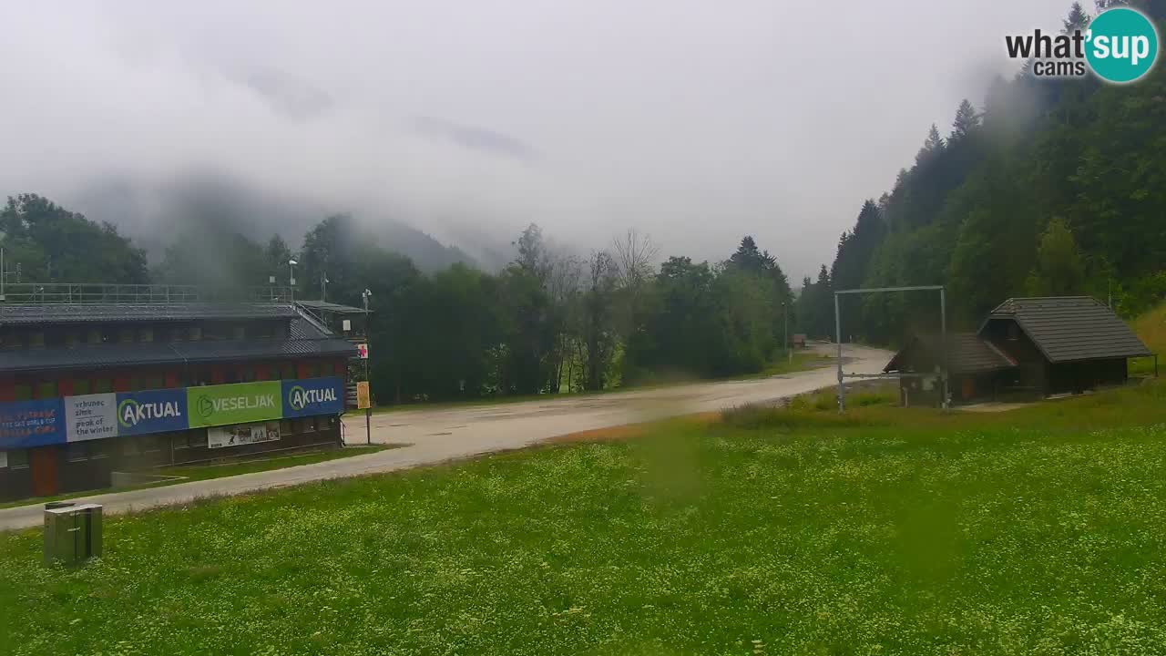 Podkoren / Kranjska Gora – Ziel Riesenslalom