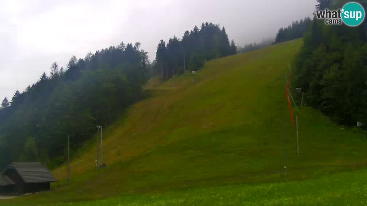 Podkoren / Kranjska Gora – Ziel Riesenslalom