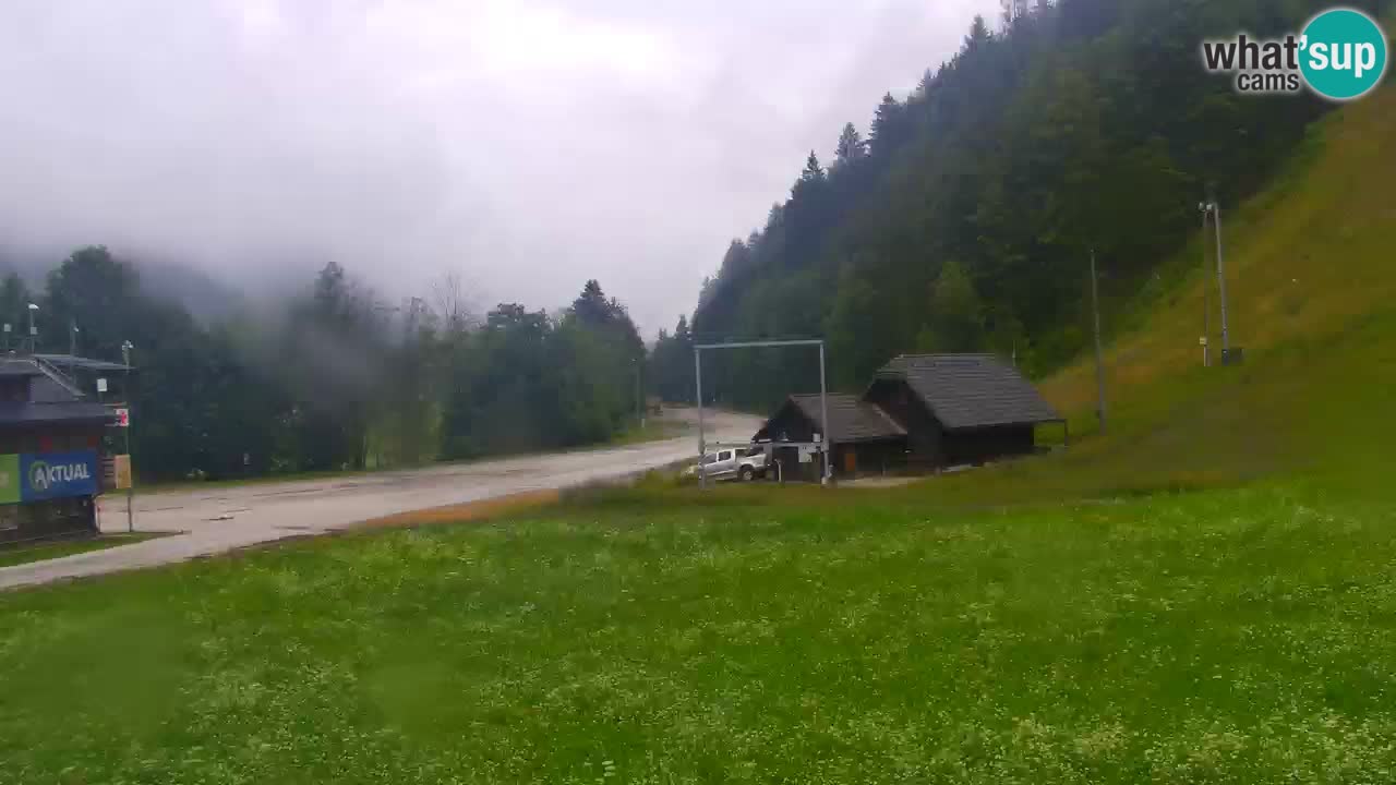 Podkoren / Kranjska Gora –  Meta Slalom gigante