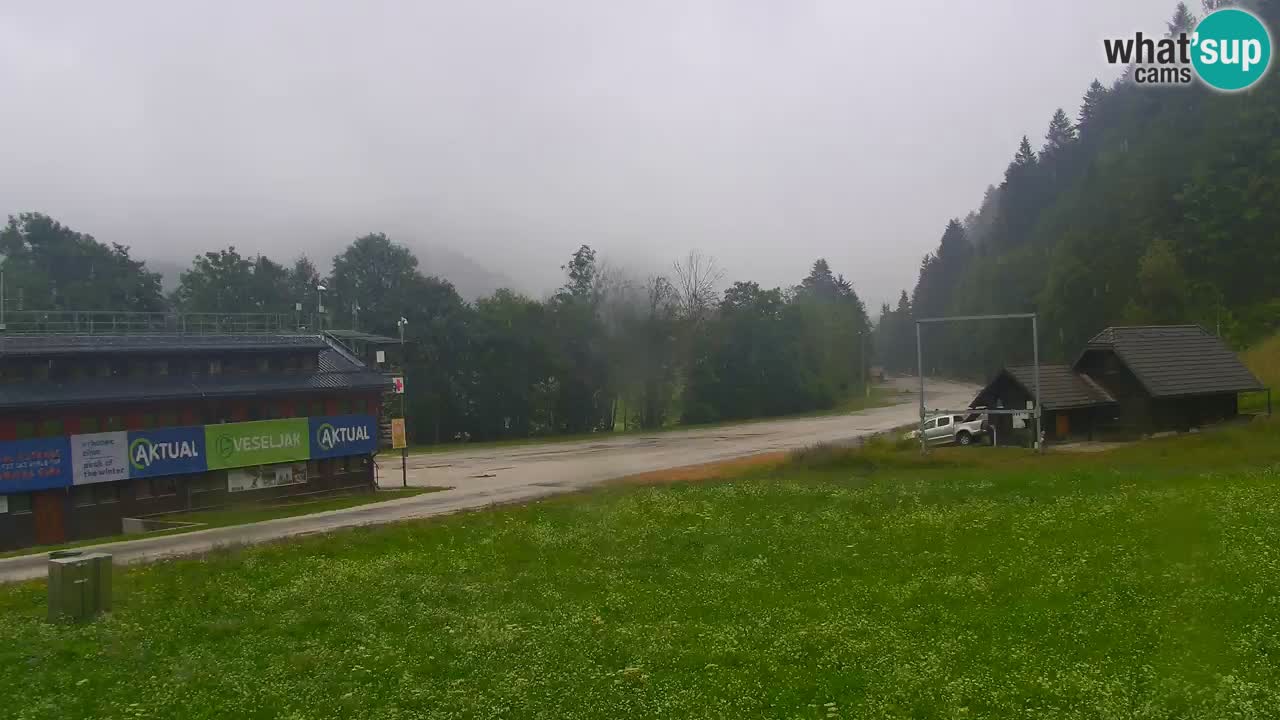 Podkoren / Kranjska Gora – Arrivo slalom gigante