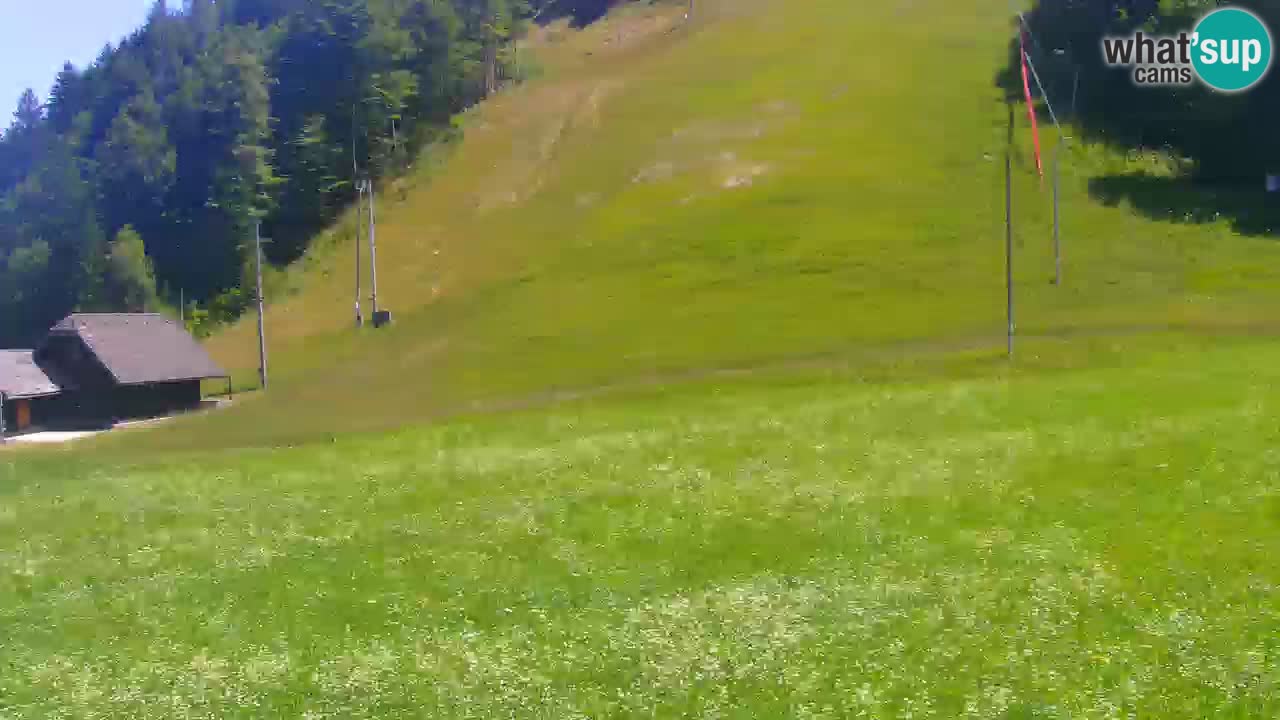 PODKOREN Kamera | Smučišče Podkoren – Kranjska Gora v ŽIVO