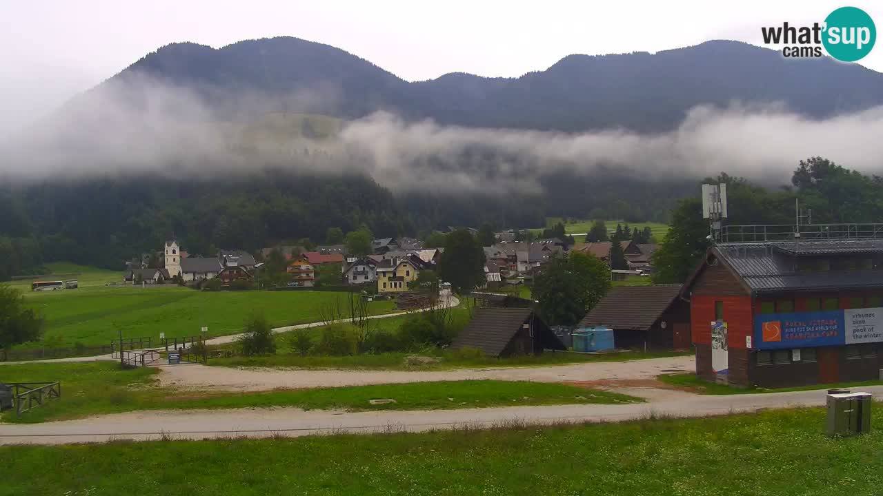 Podkoren Webcam Kranjska Gora | Finish of Giant slalom