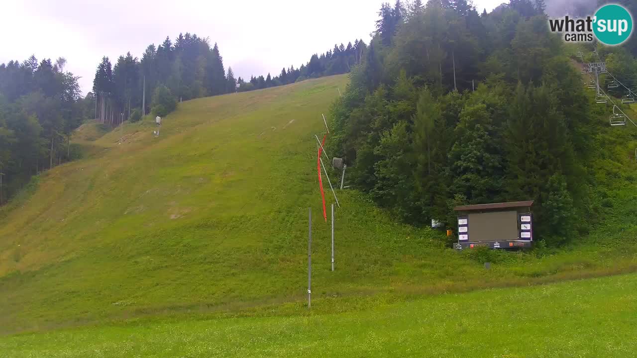 Podkoren Webcam Kranjska Gora | Finish of Giant slalom