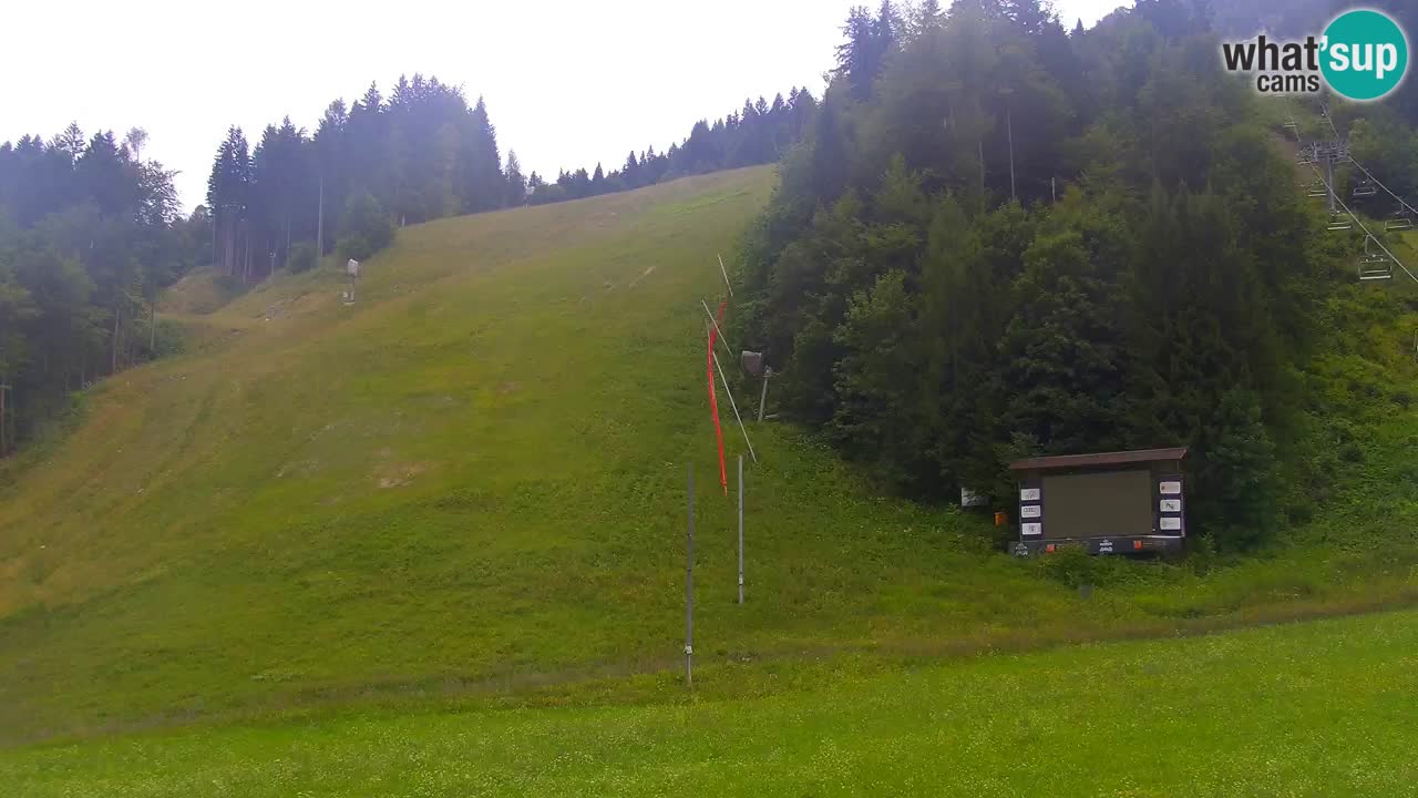 Podkoren Webcam Kranjska Gora | Finish of Giant slalom