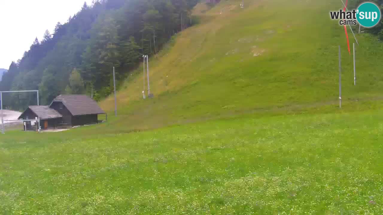 Podkoren Webcam Kranjska Gora | Finish of Giant slalom