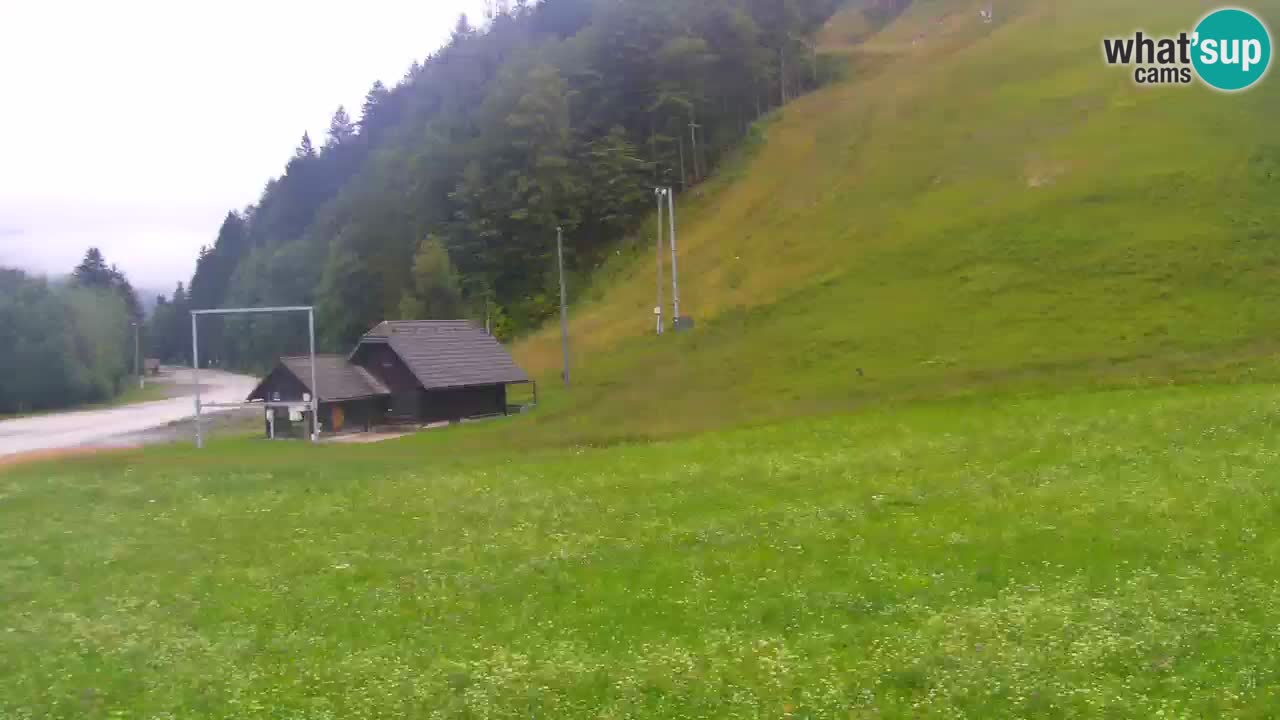 Podkoren Webcam Kranjska Gora | Finish of Giant slalom